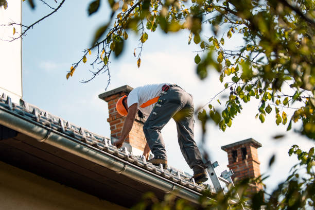 Best Roof Maintenance and Cleaning  in Sprague, WV