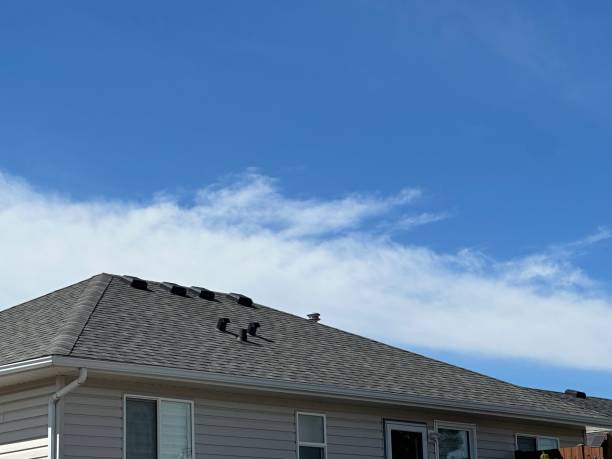 Best Roof Ventilation Installation  in Sprague, WV